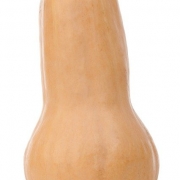 Butternuts