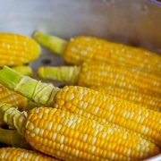 Maize